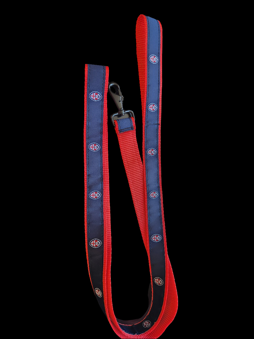 Dog Leash